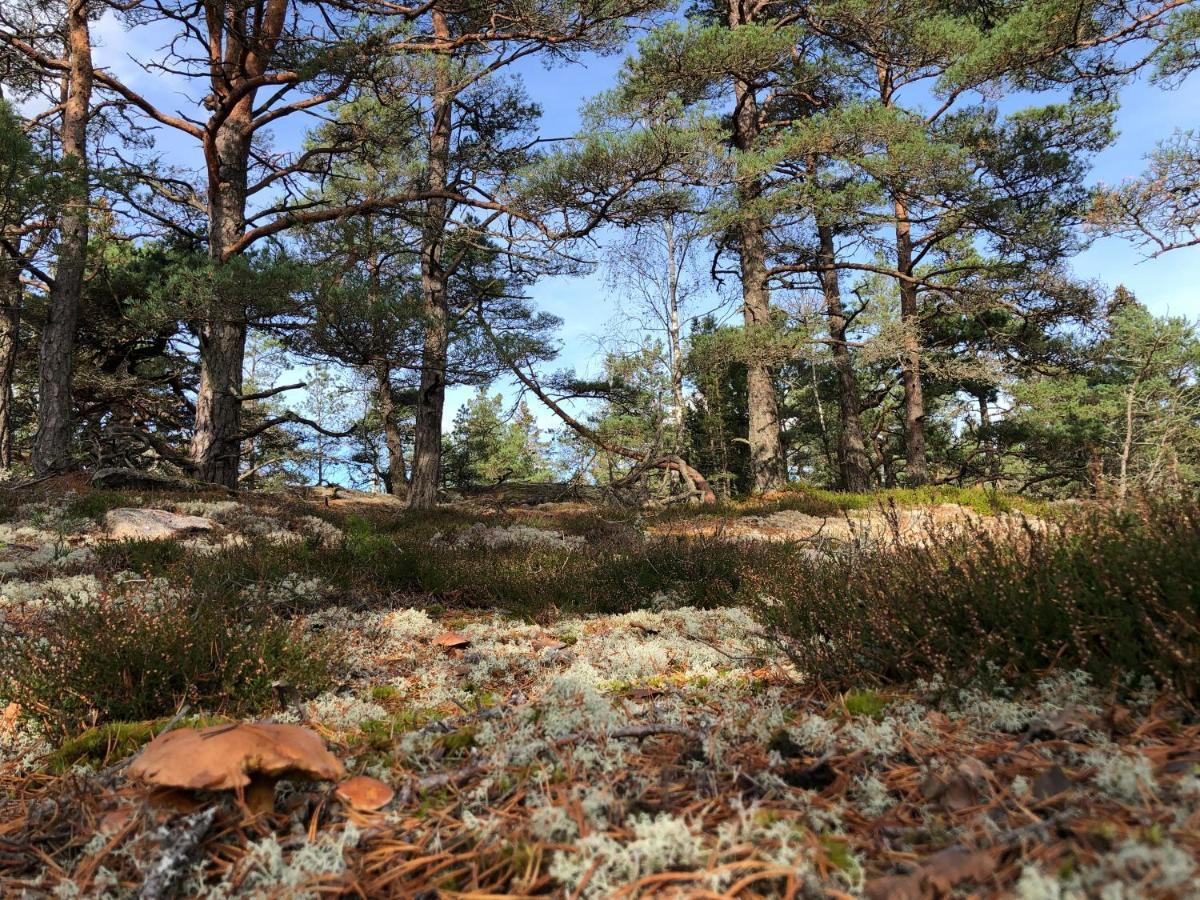 Mysig Och Modern Stuga Pa Snoegard, Naera Havet Och Naturen Lur  외부 사진